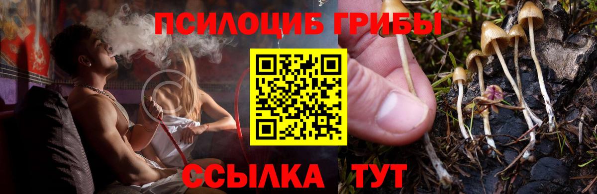 Галлюциногенные грибы прущие грибы  Вход с VPN  Псилоцибиновые грибы Magic Shrooms  Чусовой 